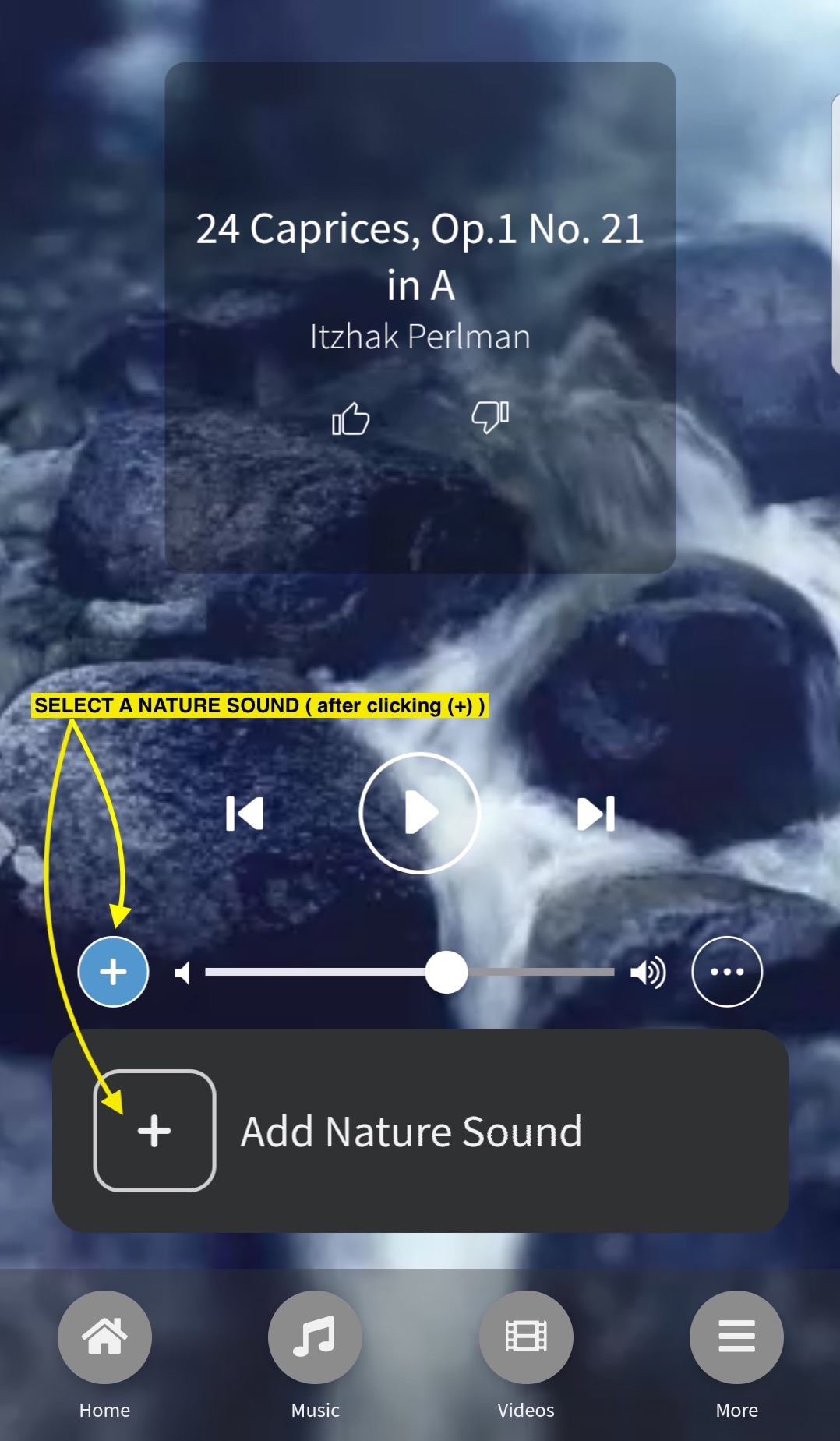 nature_sounds-new-1-fixed.jpg